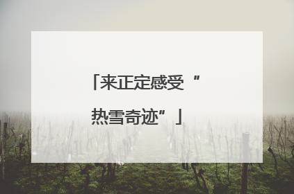 来正定感受“热雪奇迹”