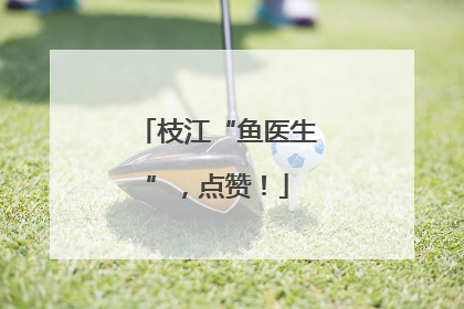 枝江“鱼医生”，点赞！