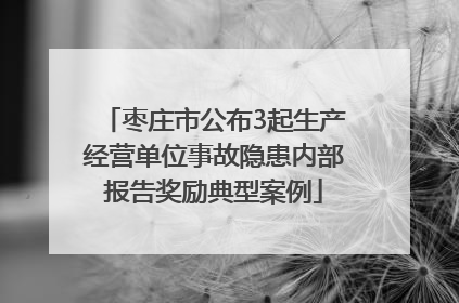 枣庄市公布3起生产经营单位事故隐患内部报告奖励典型案例