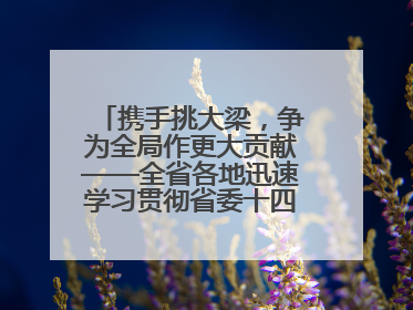携手挑大梁，争为全局作更大贡献——全省各地迅速学习贯彻省委十四届九次全会精神