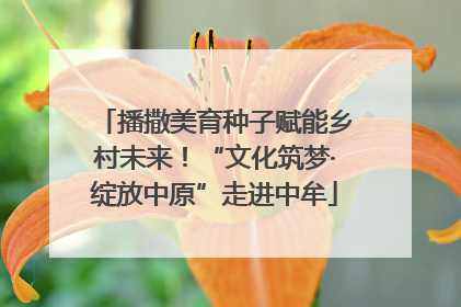 播撒美育种子赋能乡村未来！“文化筑梦·绽放中原”走进中牟