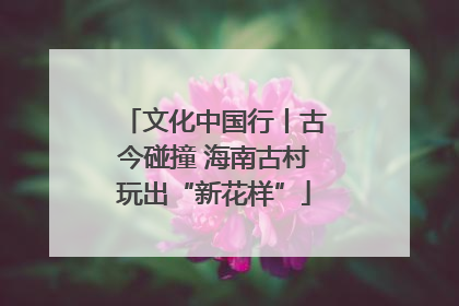 文化中国行丨古今碰撞 海南古村玩出“新花样”