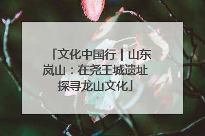 文化中国行｜山东岚山：在尧王城遗址探寻龙山文化
