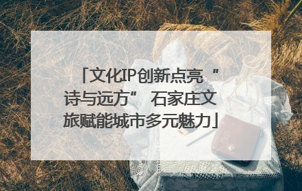文化IP创新点亮“诗与远方” 石家庄文旅赋能城市多元魅力