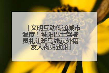 文明互动传递城市温度！城阳巴士驾驶员礼让斑马线获外籍友人鞠躬致谢