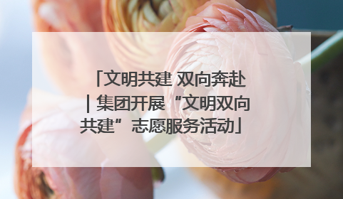 文明共建 双向奔赴｜集团开展“文明双向共建”志愿服务活动