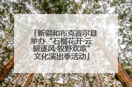 新疆和布克赛尔县举办“石榴花开·云骥逐风·牧野欢歌”文化演出季活动