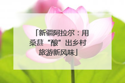 新疆阿拉尔：用桑葚“酿”出乡村旅游新风味