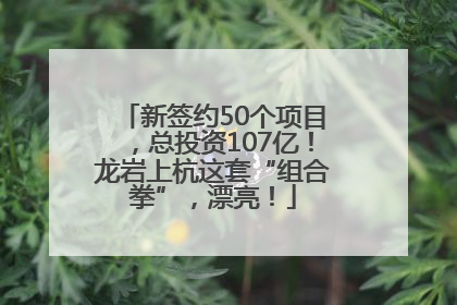 新签约50个项目，总投资107亿！龙岩上杭这套“组合拳”，漂亮！