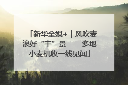 新华全媒+｜风吹麦浪好“丰”景——多地小麦机收一线见闻