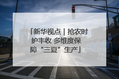 新华视点｜抢农时 护丰收 多维度保障“三夏”生产