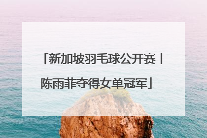 新加坡羽毛球公开赛丨陈雨菲夺得女单冠军