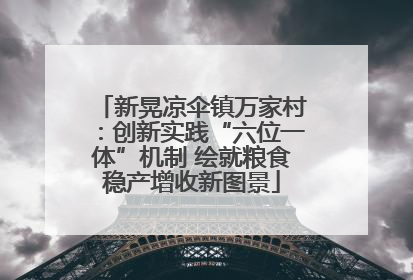 新晃凉伞镇万家村：创新实践“六位一体”机制 绘就粮食稳产增收新图景