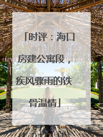 时评：海口房建公寓段，疾风骤雨的铁骨温情