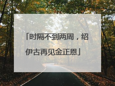 时隔不到两周，绍伊古再见金正恩