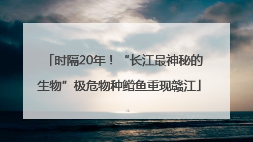 时隔20年！“长江最神秘的生物”极危物种鳤鱼重现赣江
