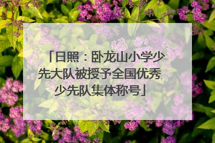 日照：卧龙山小学少先大队被授予全国优秀少先队集体称号