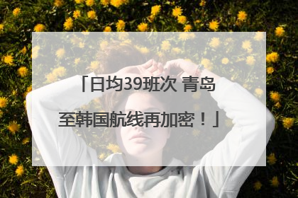 日均39班次 青岛至韩国航线再加密！