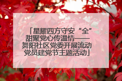 星耀四方守安“全” 甜聚党心传温情——舞阳社区党委开展流动党员建党节主题活动