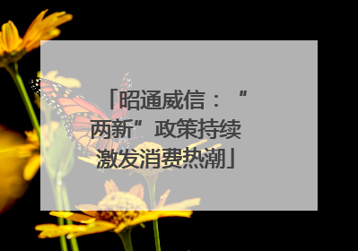 昭通威信：“两新”政策持续激发消费热潮