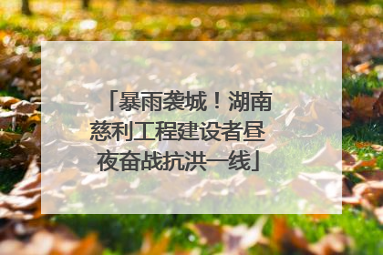 暴雨袭城！湖南慈利工程建设者昼夜奋战抗洪一线