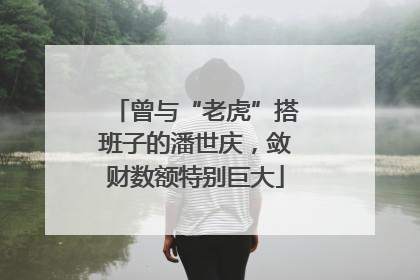 曾与“老虎”搭班子的潘世庆，敛财数额特别巨大