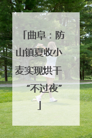 曲阜：防山镇夏收小麦实现烘干“不过夜”
