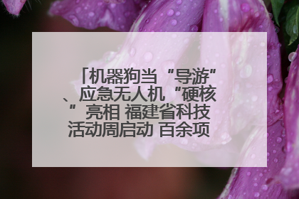 机器狗当“导游”、应急无人机“硬核”亮相 福建省科技活动周启动 百余项特色活动酷炫来袭