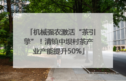 机械强农激活“茶引擎”！清镇中坝村茶产业产能提升50%
