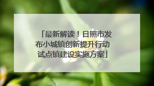 最新解读！日照市发布小城镇创新提升行动试点镇建设实施方案