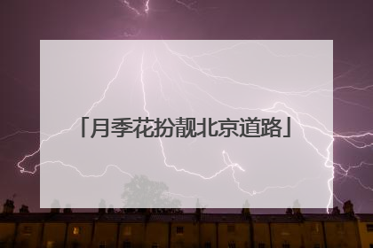 月季花扮靓北京道路