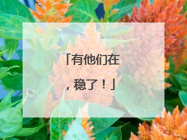 有他们在，稳了！