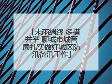 未雨绸缪 多措并举 聊城市城管局扎实做好城区防汛备汛工作
