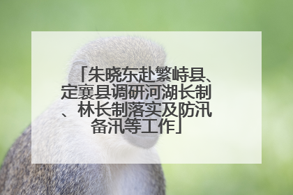 朱晓东赴繁峙县、定襄县调研河湖长制、林长制落实及防汛备汛等工作