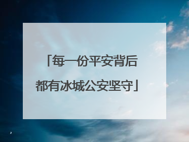 每一份平安背后 都有冰城公安坚守