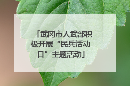 武冈市人武部积极开展“民兵活动日”主题活动