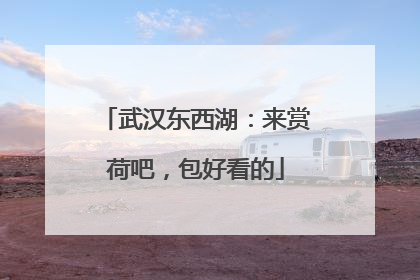 武汉东西湖：来赏荷吧，包好看的