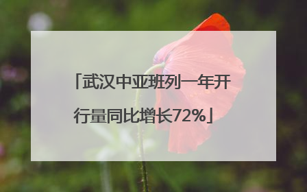 武汉中亚班列一年开行量同比增长72%