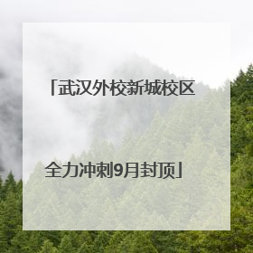 武汉外校新城校区全力冲刺9月封顶
