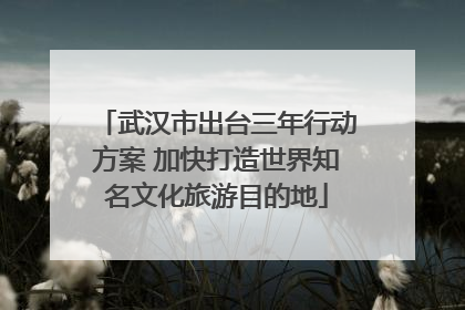 武汉市出台三年行动方案 加快打造世界知名文化旅游目的地