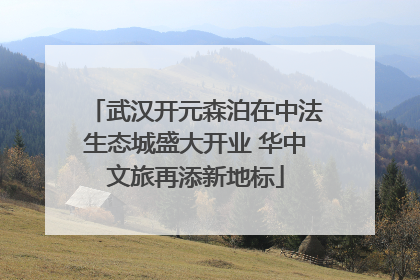 武汉开元森泊在中法生态城盛大开业 华中文旅再添新地标