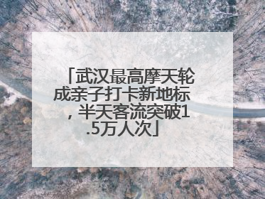 武汉最高摩天轮成亲子打卡新地标，半天客流突破1.5万人次
