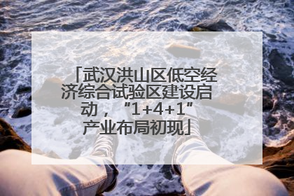武汉洪山区低空经济综合试验区建设启动，“1+4+1”产业布局初现