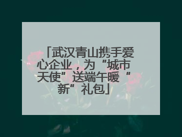 武汉青山携手爱心企业，为“城市天使”送端午暖“新”礼包