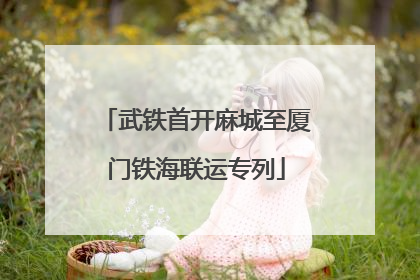 武铁首开麻城至厦门铁海联运专列