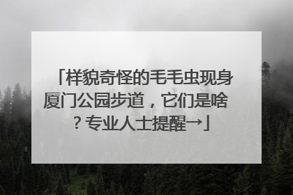样貌奇怪的毛毛虫现身厦门公园步道，它们是啥？专业人士提醒→