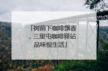 树荫下咖啡飘香，三里屯咖啡驿站品味慢生活