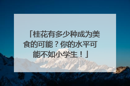 桂花有多少种成为美食的可能？你的水平可能不如小学生！