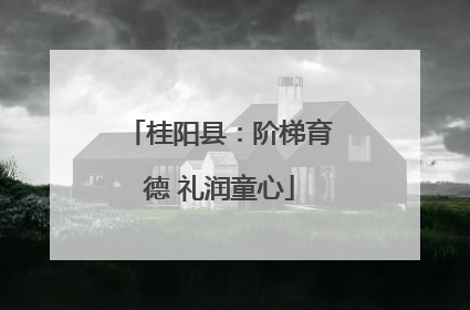 桂阳县：阶梯育德 礼润童心