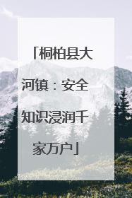 桐柏县大河镇：安全知识浸润千家万户